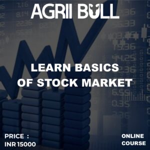 Learn Basics of Stock Market