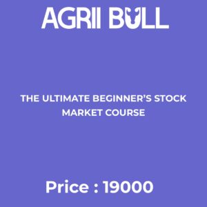 The Ultimate Beginner’s Stock Market Course