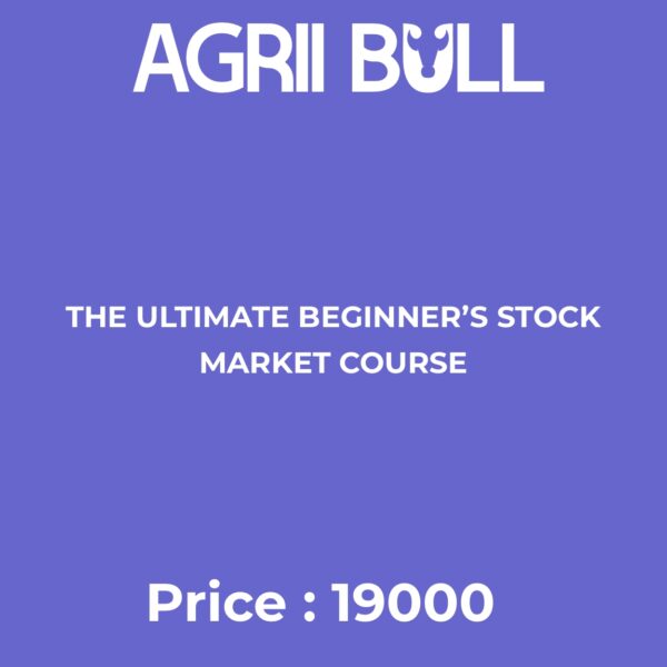 The Ultimate Beginner’s Stock Market Course